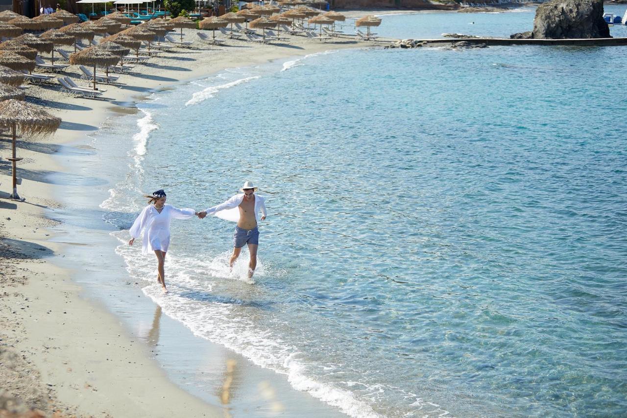 Vincci Evereden أنافيسوس المظهر الخارجي الصورة