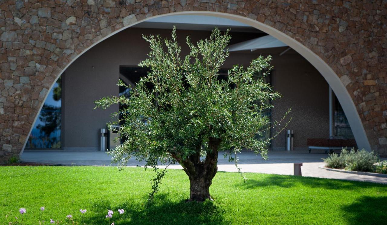 Vincci Evereden أنافيسوس المظهر الخارجي الصورة